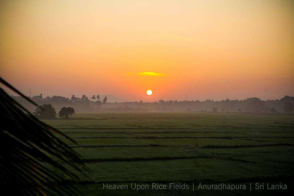 Heaven Upon Rice Fields Bed & Breakfast Anuradhapura Exterior photo