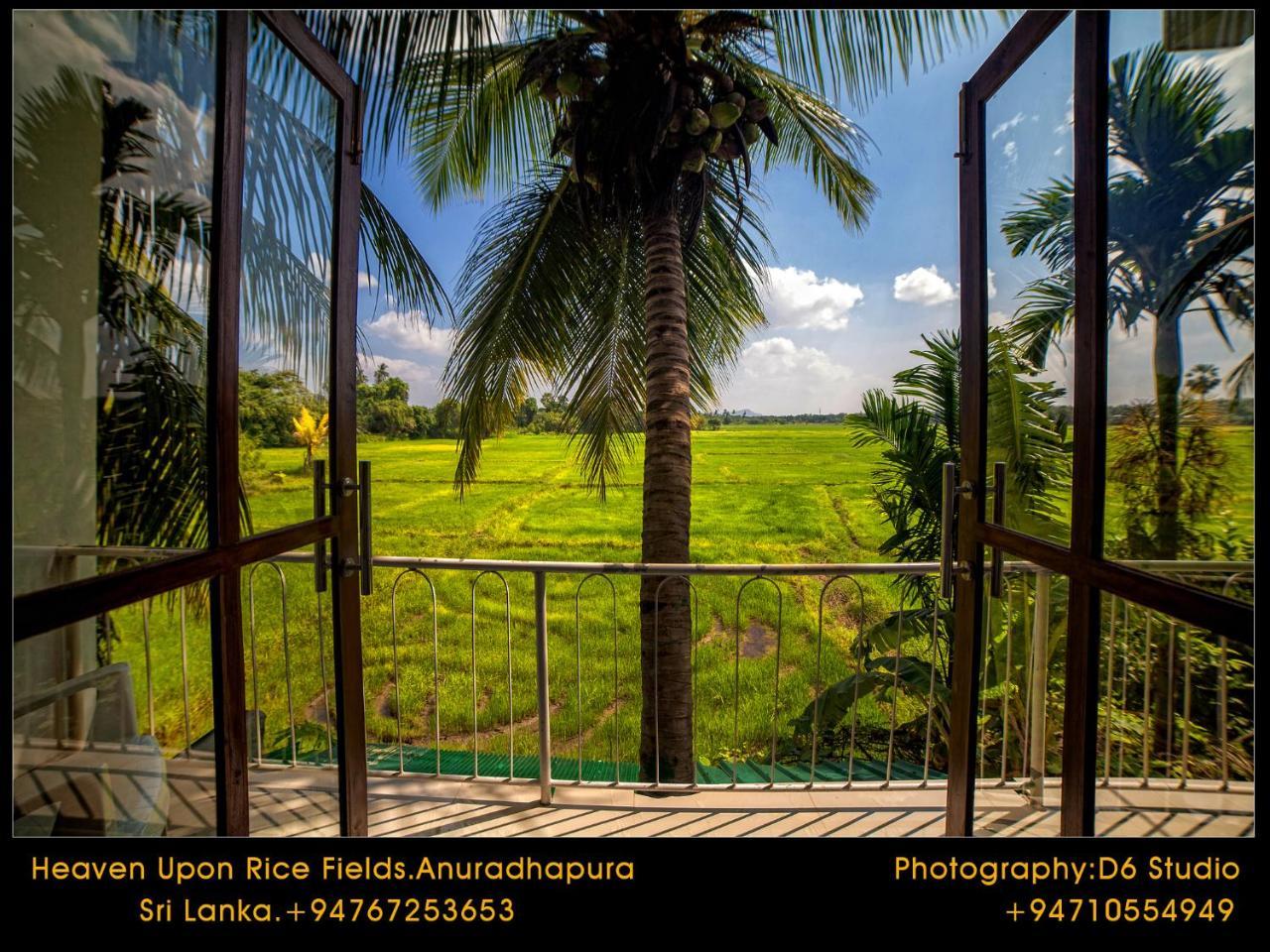 Heaven Upon Rice Fields Bed & Breakfast Anuradhapura Exterior photo