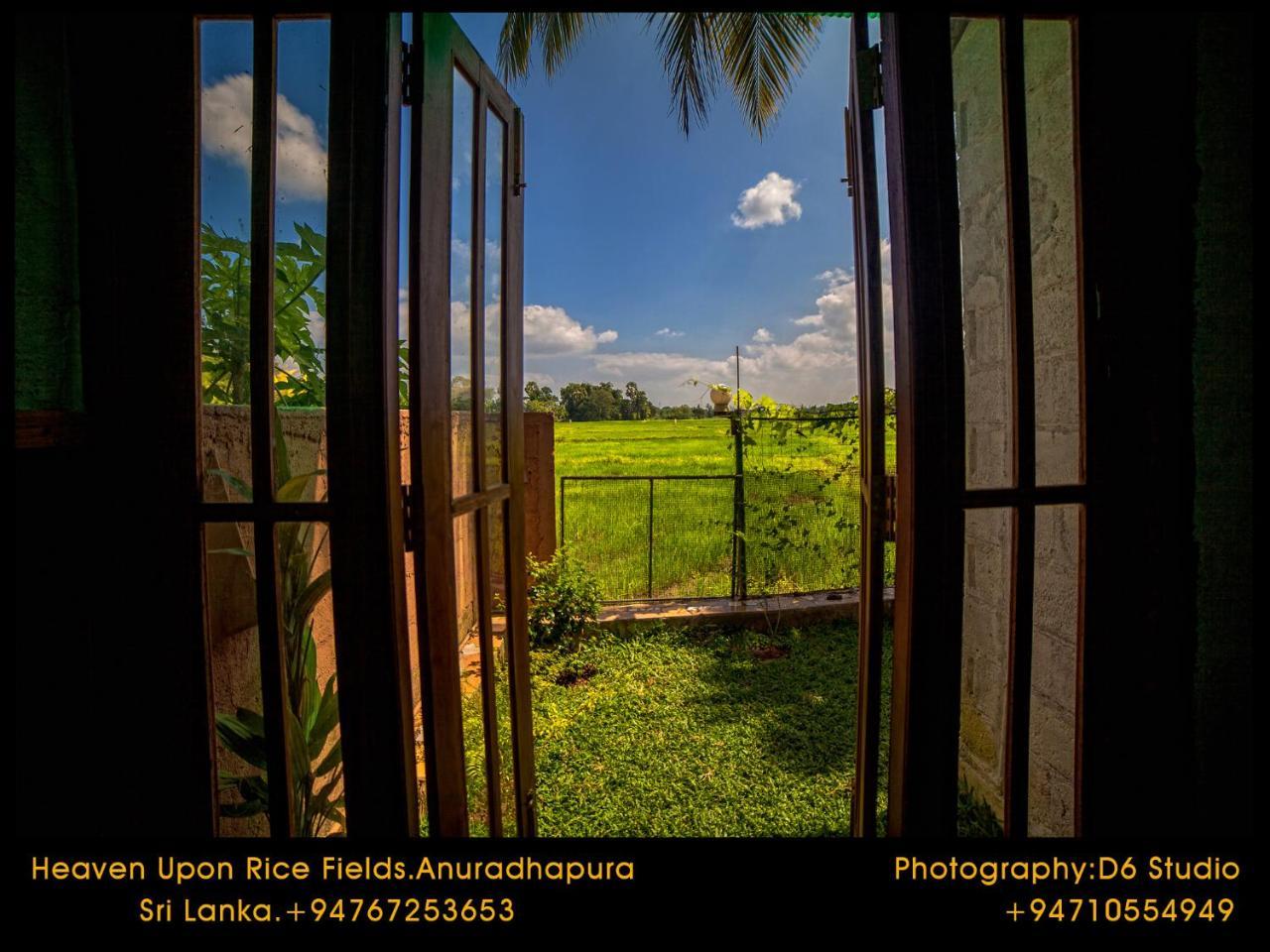 Heaven Upon Rice Fields Bed & Breakfast Anuradhapura Exterior photo