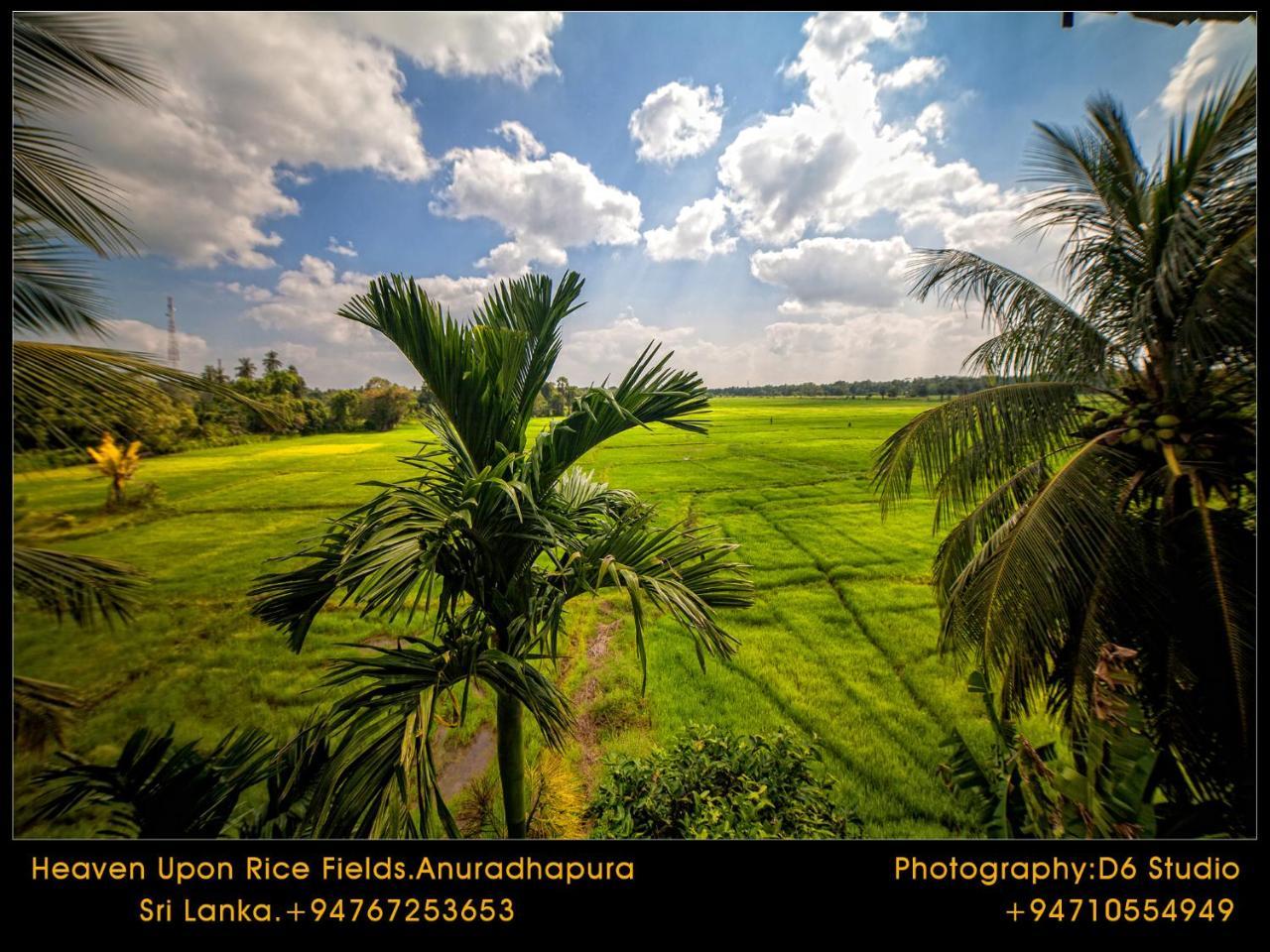 Heaven Upon Rice Fields Bed & Breakfast Anuradhapura Exterior photo