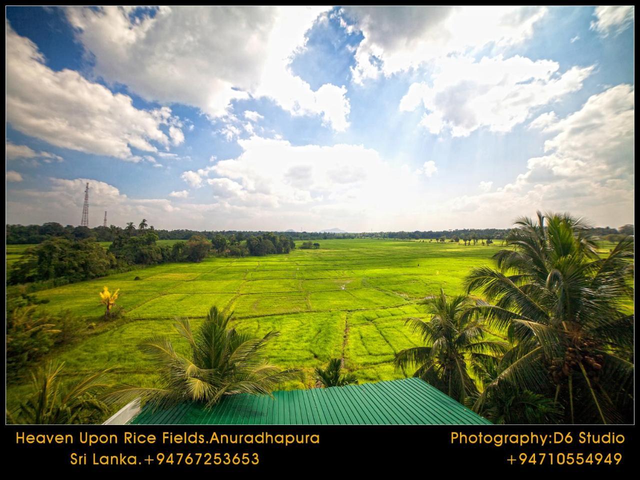 Heaven Upon Rice Fields Bed & Breakfast Anuradhapura Exterior photo