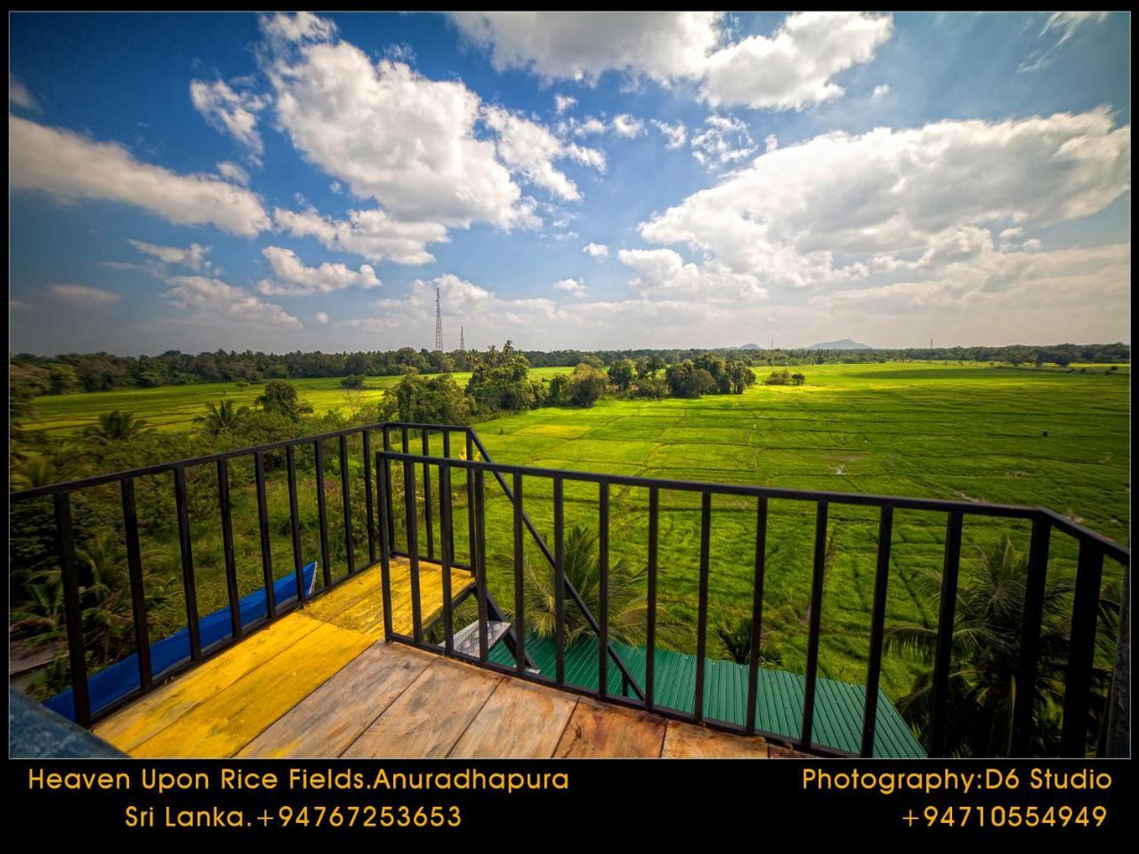 Heaven Upon Rice Fields Bed & Breakfast Anuradhapura Exterior photo